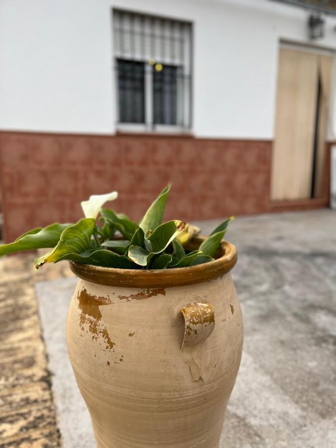 Agua De Verano San Bartolome de la Torre Luaran gambar